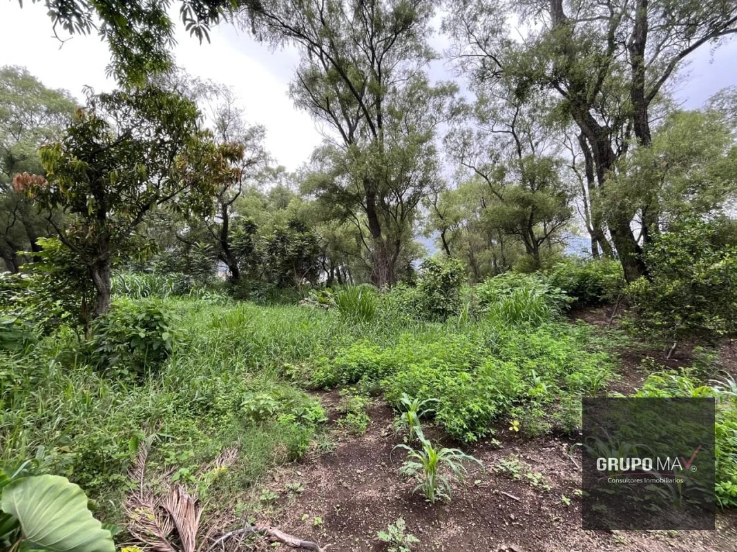 Terreno Los Sauces Km.37 Palín Escuintla - 3
