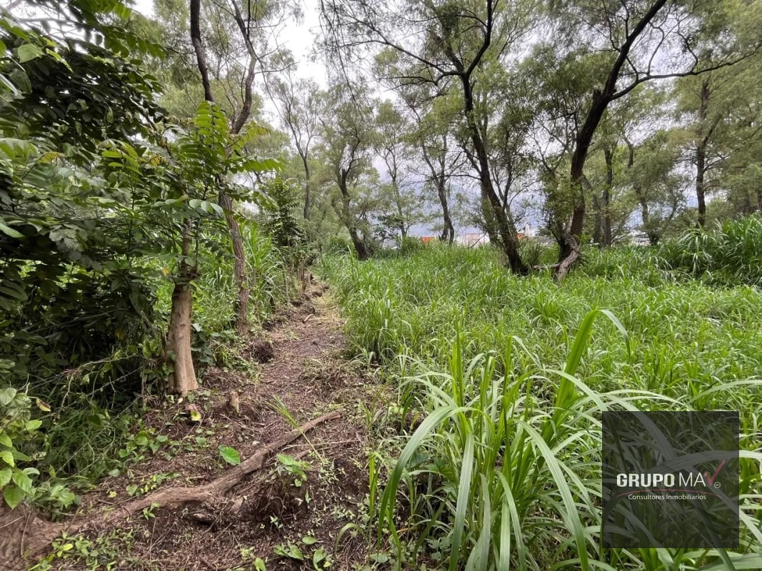 Terreno Los Sauces Km.37 Palín Escuintla - 2