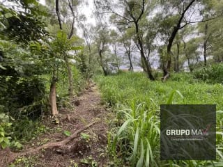 Terreno Los Sauces Km.37 Palín Escuintla — Terreno en Venta en Escuintla, Escuintla — miniatura 3 de 6