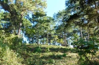 TERRENO EN VENTA EN ZONA 16 — Terreno en Venta en Zona 16, Guatemala, Ciudad — miniatura 1 de 5