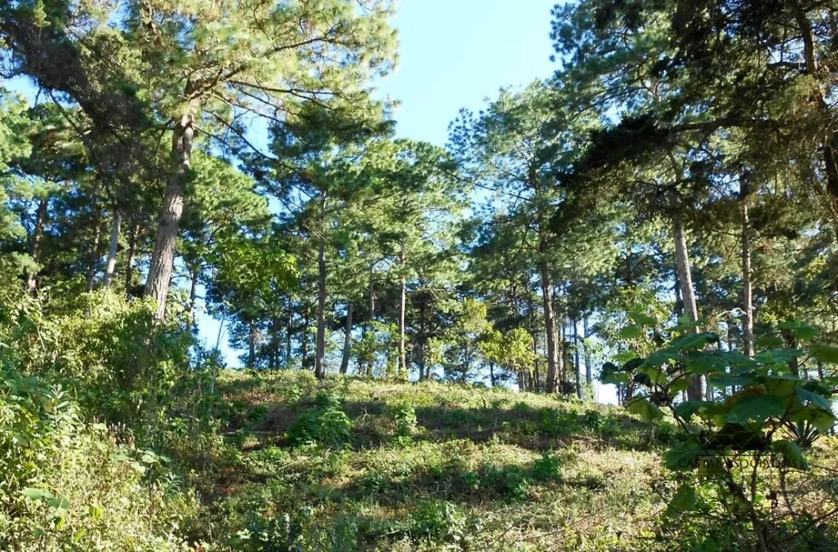 TERRENO EN VENTA EN ZONA 16 — Terreno en Venta en Zona 16, Guatemala, Ciudad — foto 1 de 5
