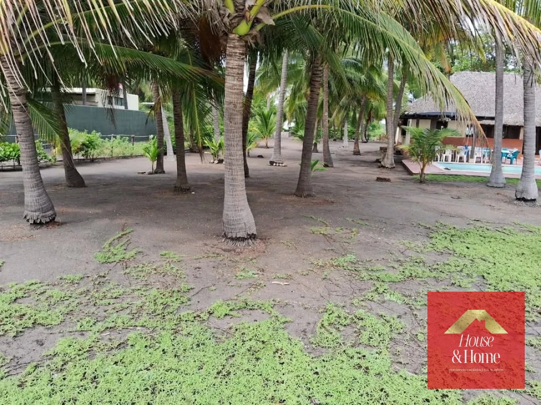 CASA DE PLAYA EN VENTA MONTERRICO - (Rancho) - 4