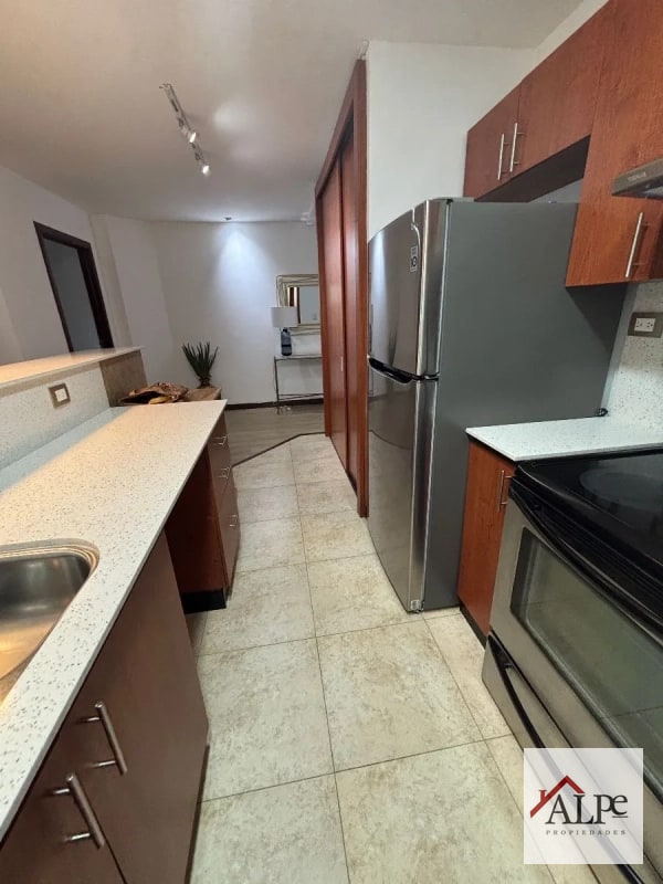 APARTAMENTO AMUEBLADO CON 1 DORMITORIO - 6