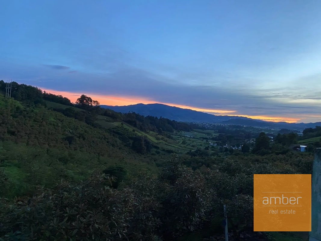 Granja de aguacate, en Chimaltenango - 5