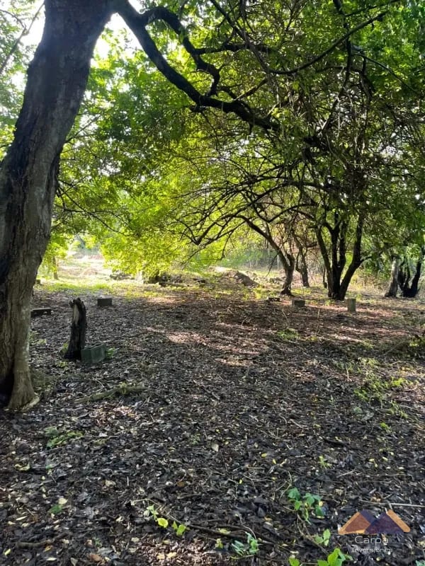 Terreno en Venta - La poderosa - Km 77 Autopista a Pto. Quetzal. — Terreno en Venta en Puerto Quetzal, Escuintla — foto 6 de 8