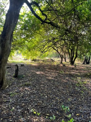 Terreno en Venta - La poderosa - Km 77 Autopista a Pto. Quetzal. — Terreno en Venta en Puerto Quetzal, Escuintla — miniatura 6 de 8