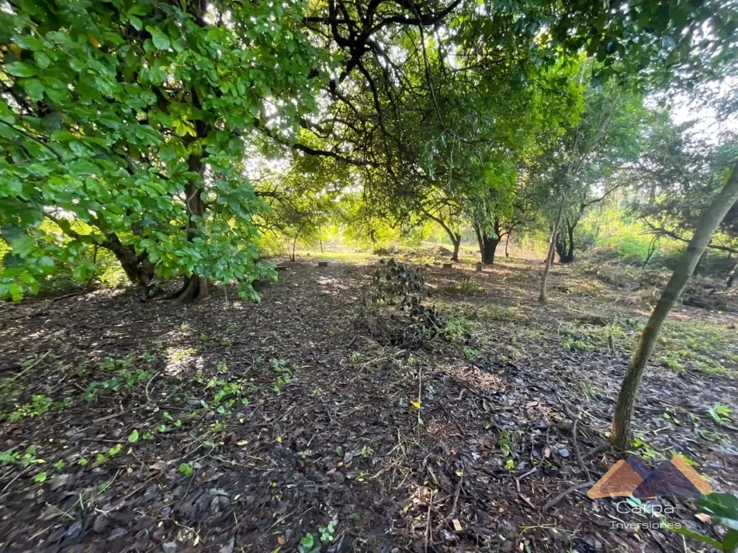 Terreno en Venta - La poderosa - Km 77 Autopista a Pto. Quetzal. — Terreno en Venta en Puerto Quetzal, Escuintla — foto 5 de 8