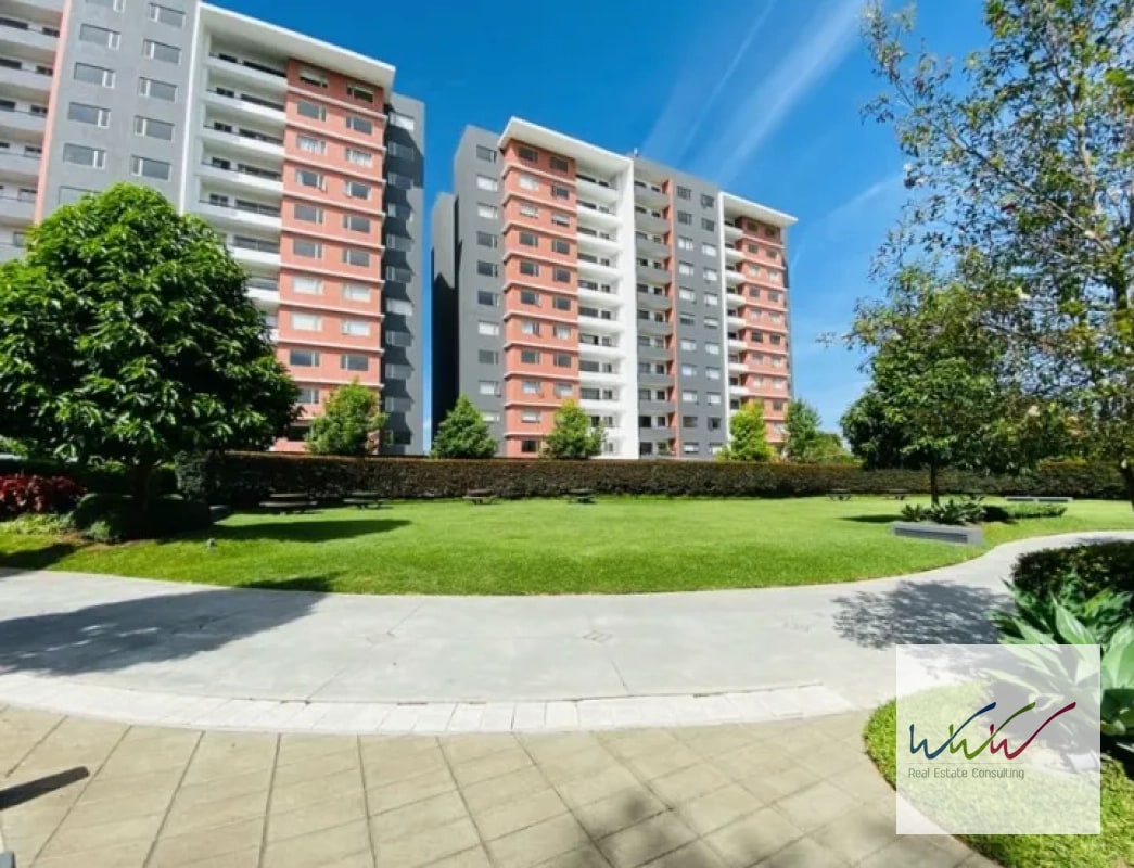Rento apartamento en edificio Segheria zona 14 - 16