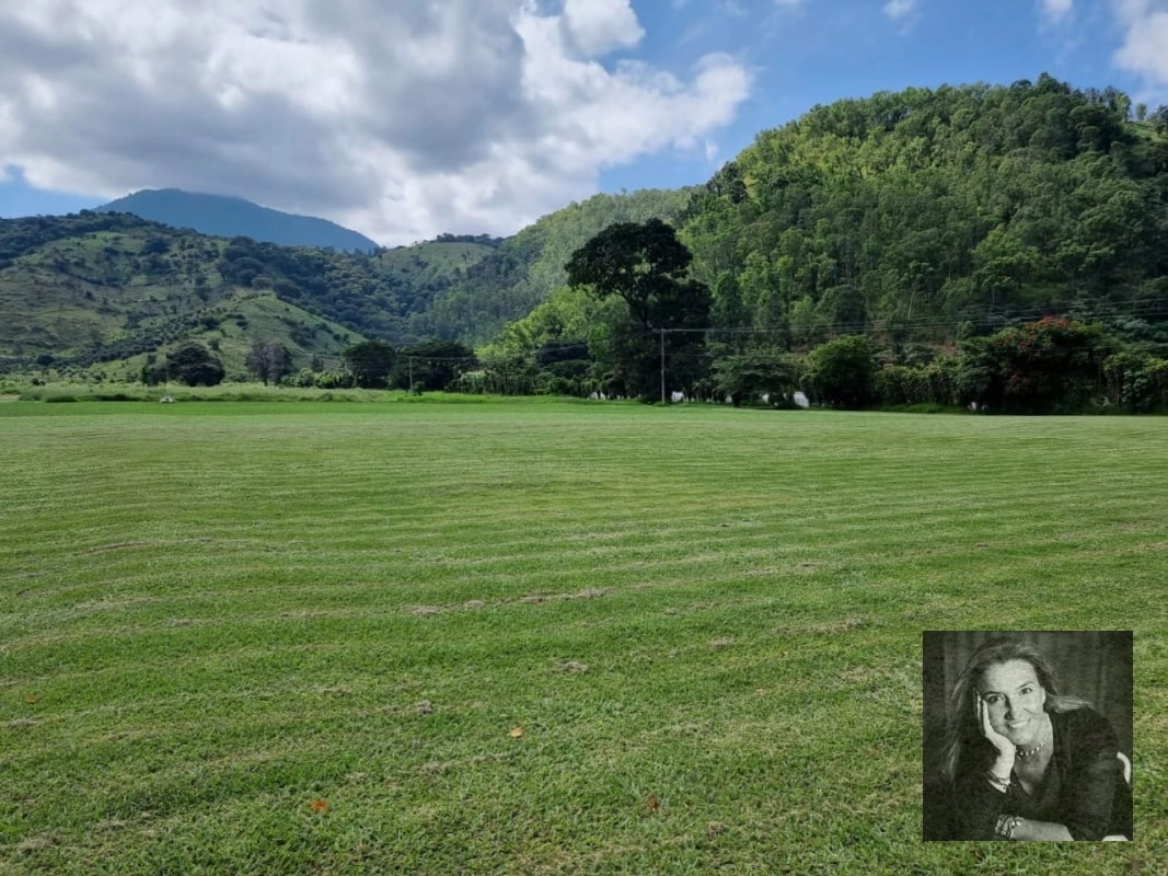 TERRENO EN VENTA – AMATITLÁN 📍 Circunvalación del Lago | Frente a asfalto - 10