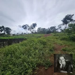 TERRENO EN VENTA – COATEPEQUE, A 200 METROS DEL KM 223 CA-2 — Terreno en Venta en Coatepeque, Quetzaltenango — miniatura 3 de 4