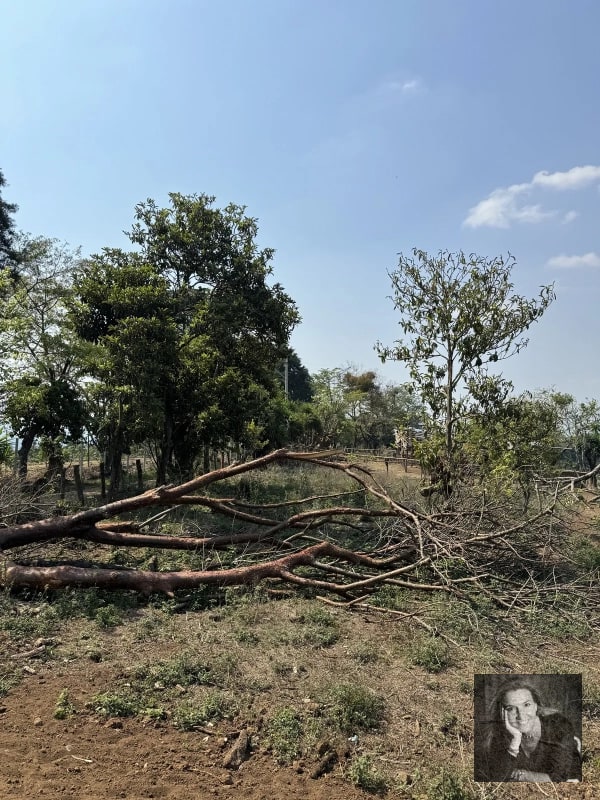 Ideal DESARROLLO/ Terreno en Venta Km 25.5 CES - 6