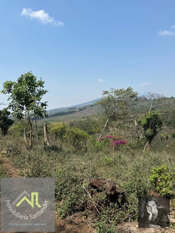 Ideal DESARROLLO/ Terreno en Venta Km 25.5 CES - 5