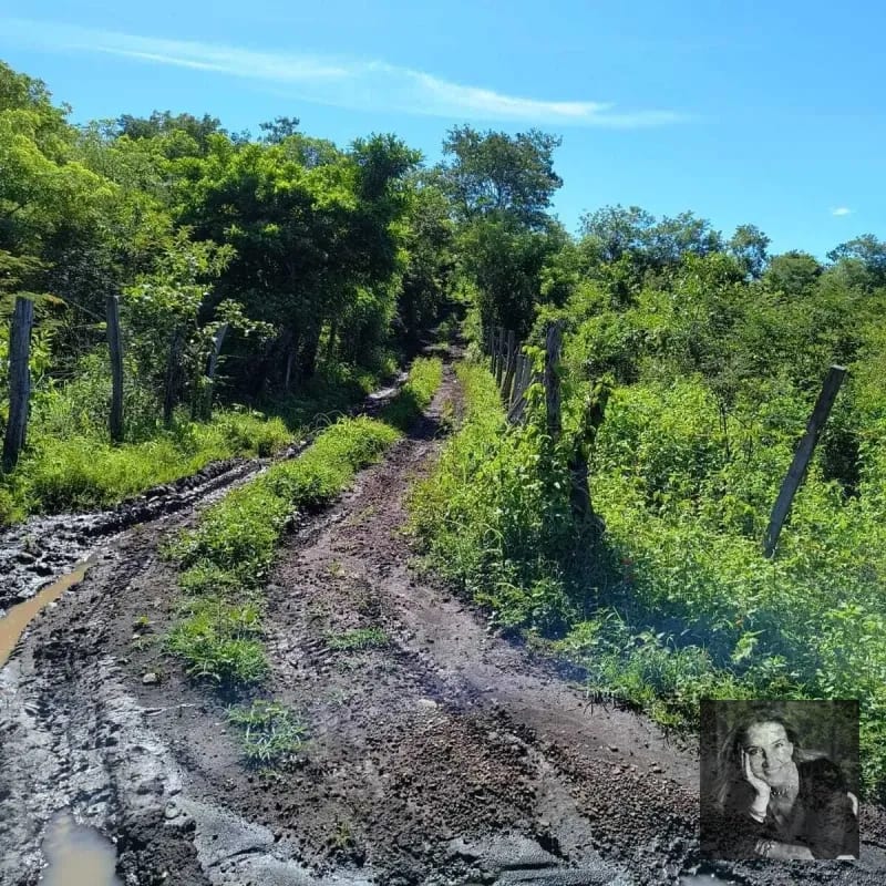 ORATORIO / Km.92 Carretera Salvador Ideal para hacer bodegas o lotificar — Terreno en Venta en Pueblo Nuevo Viñas, Santa Rosa — foto 1 de 5