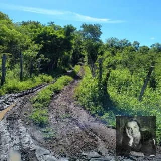 ORATORIO / Km.92 Carretera Salvador Ideal para hacer bodegas o lotificar — Terreno en Venta en Pueblo Nuevo Viñas, Santa Rosa — miniatura 1 de 5
