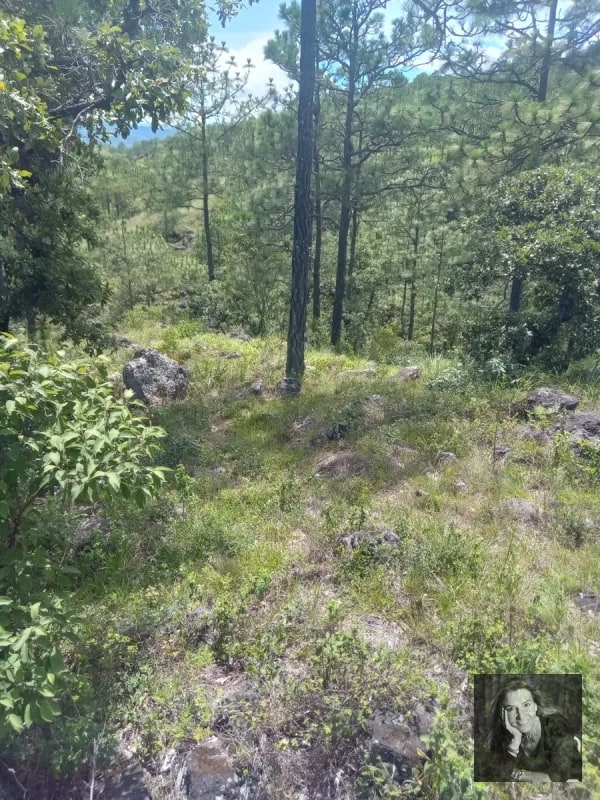 TERRENO EN VENTA – HUEHUETENANGO (PIEDRAS NEGRAS) - 4