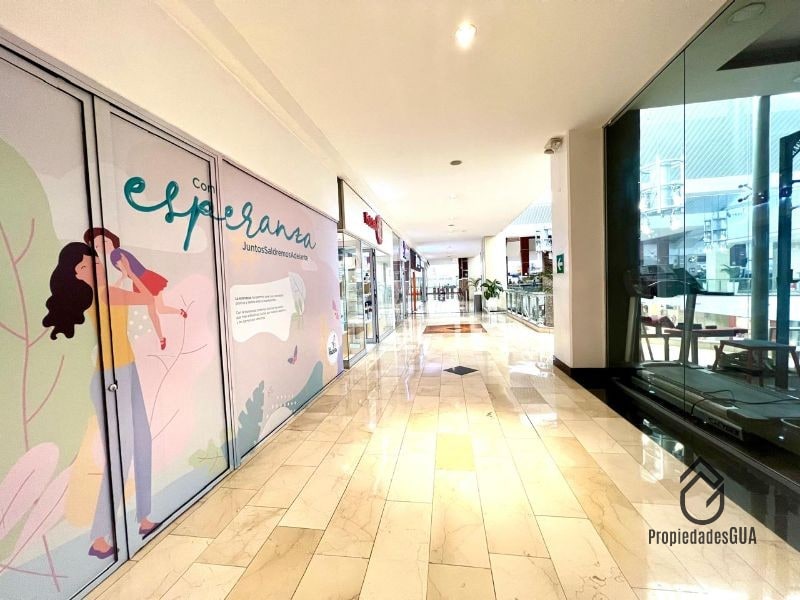 Local comercial en renta - 4