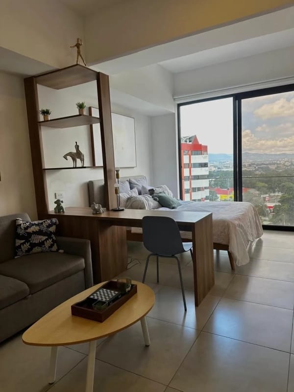 Apartamento Zona 13, Elemento — Apartamento en Venta en Elemento Plaza Berlín, Zona 13, Guatemala, Ciudad — foto 9 de 12