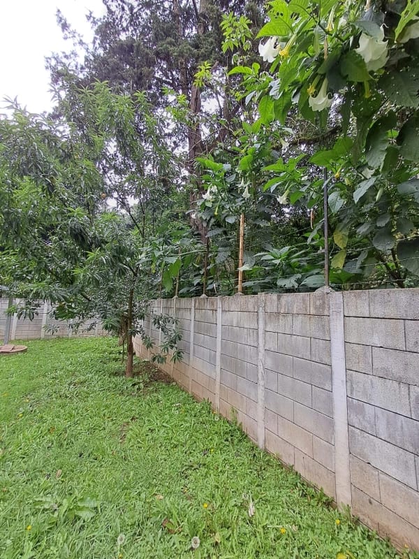 Terreno en venta San Lucas — Terreno en Venta en Santiago Sacatepéquez, Sacatepéquez — foto 9 de 13
