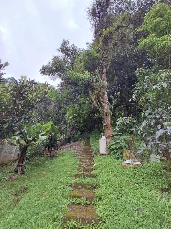 Terreno en venta San Lucas — Terreno en Venta en Santiago Sacatepéquez, Sacatepéquez — foto 5 de 13