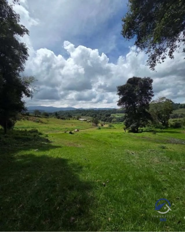 Amplios terrenos en venta en Encinos de Tecpán, Naturaleza, elegancia y exclusividad en un mismo lugar. ¡Precios de Lanzamiento! - 1