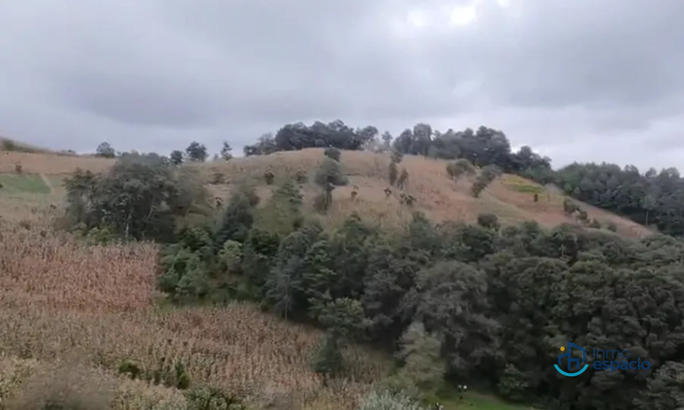 TERRENOS EN VENTA- Encinos de Tecpán - 12