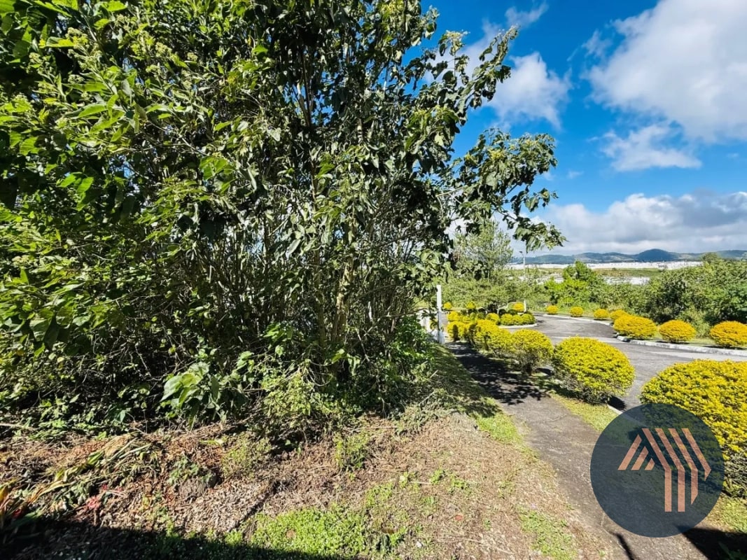 VENTA DE TERRENO RESIDENCIAL - ALTA VISTA CLUB, SAN JOSÉ PINULA - 6