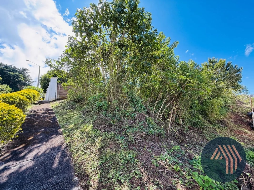 VENTA DE TERRENO RESIDENCIAL - ALTA VISTA CLUB, SAN JOSÉ PINULA - 7