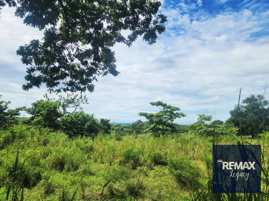 Terreno Venta | KM 61.5 | Escuintla - 7