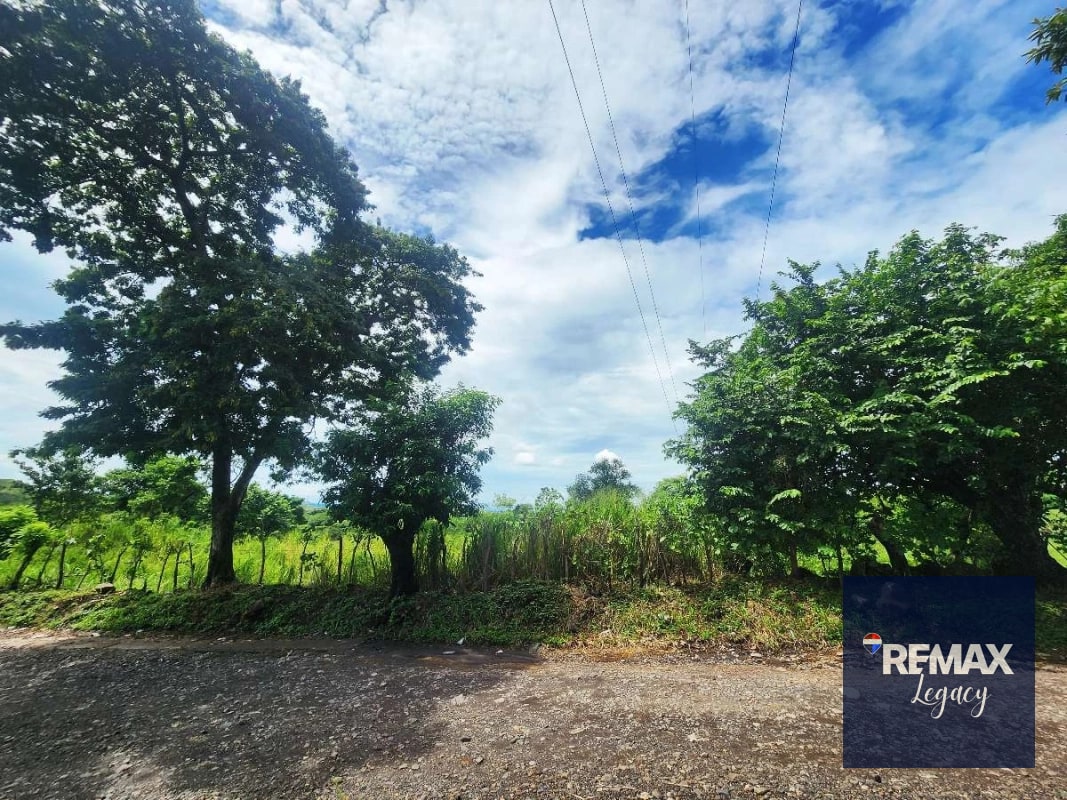 Terreno Venta | KM 61.5 | Escuintla - 6