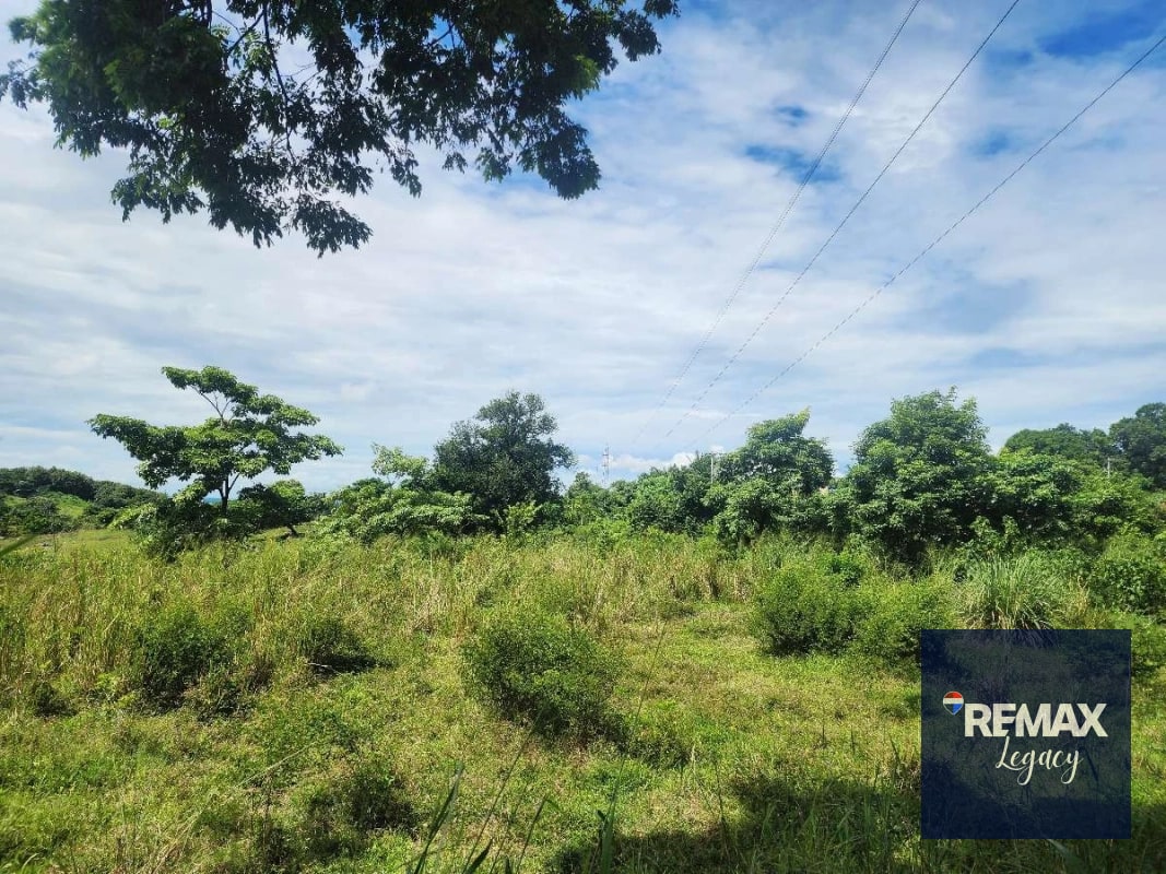 Terreno Venta | KM 61.5 | Escuintla - 5