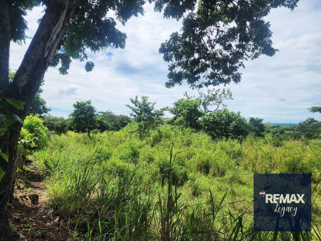 Terreno Venta | KM 61.5 | Escuintla - 4