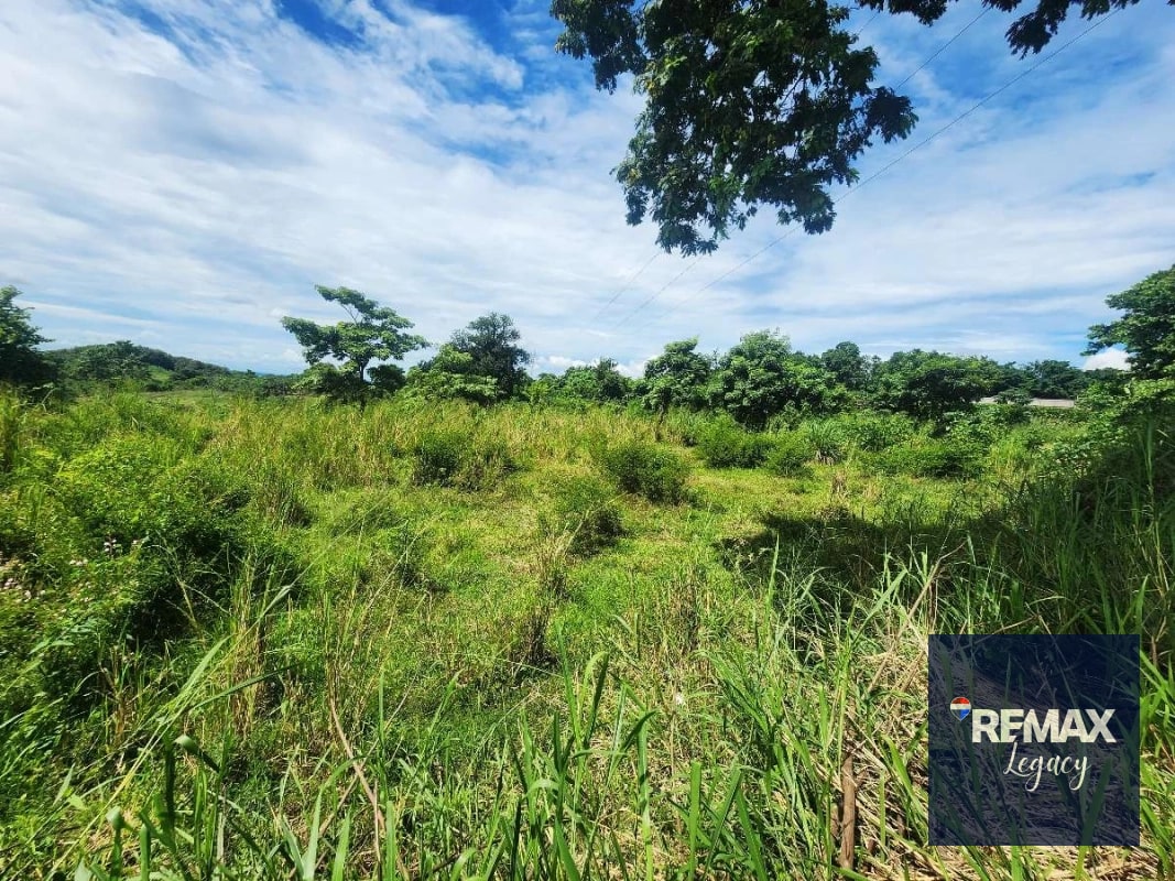 Terreno Venta | KM 61.5 | Escuintla - 3