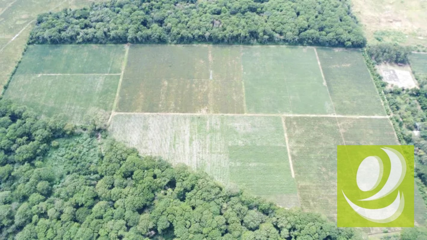 Finca de 20 Manzanas Planas en Venta en CAES Jocotillo - 7