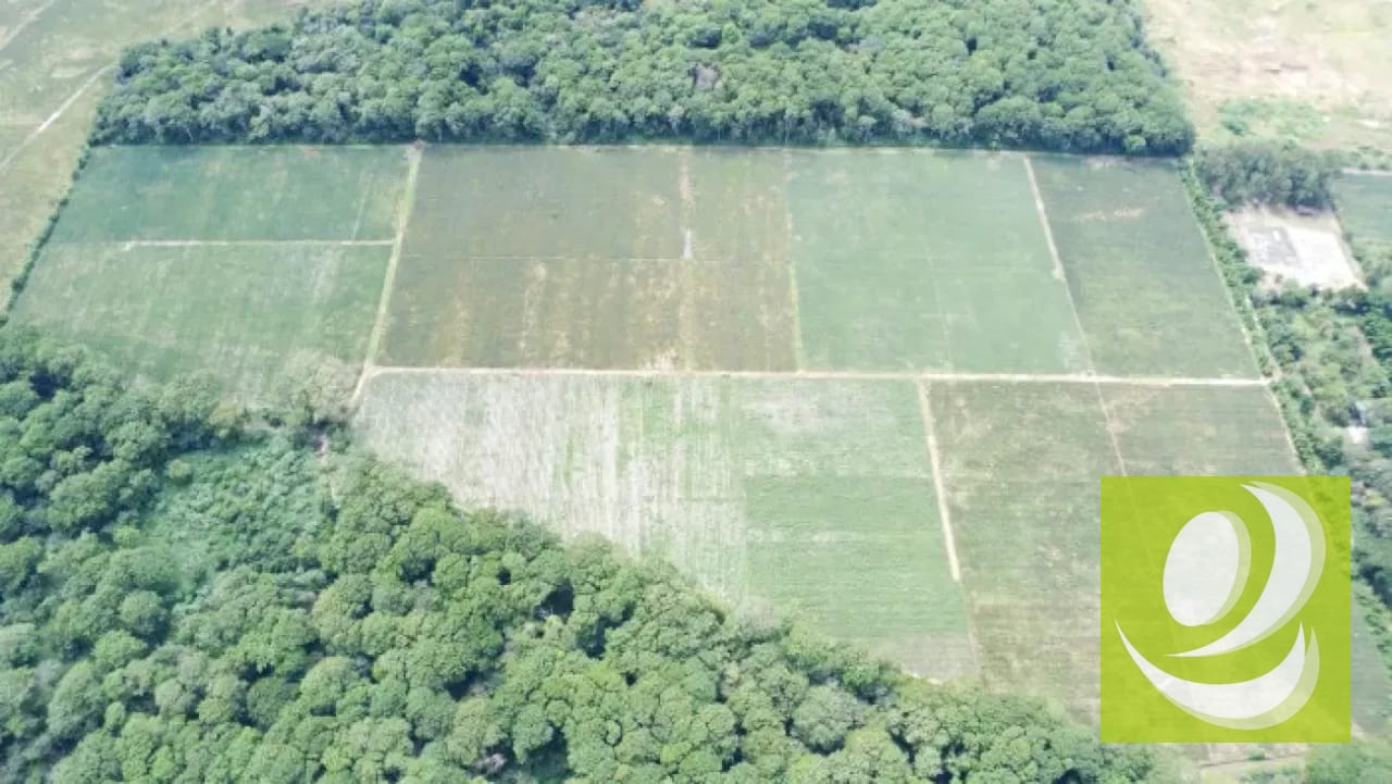 Finca de 20 Manzanas Planas en Venta en CAES Jocotillo — Terreno en Venta en Carretera a El Salvador, Guatemala, Ciudad — foto 8 de 9