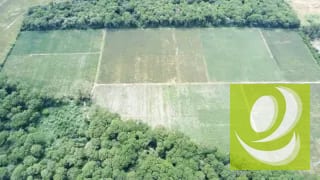 Finca de 20 Manzanas Planas en Venta en CAES Jocotillo — Terreno en Venta en Carretera a El Salvador, Guatemala, Ciudad — miniatura 7 de 9