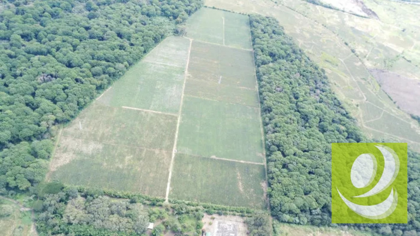 Finca de 20 Manzanas Planas en Venta en CAES Jocotillo - 5