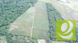 Finca de 20 Manzanas Planas en Venta en CAES Jocotillo — Terreno en Venta en Carretera a El Salvador, Guatemala, Ciudad — miniatura 6 de 9