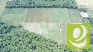 Finca de 20 Manzanas Planas en Venta en CAES Jocotillo — Terreno en Venta en Carretera a El Salvador, Guatemala, Ciudad — miniatura 4 de 9
