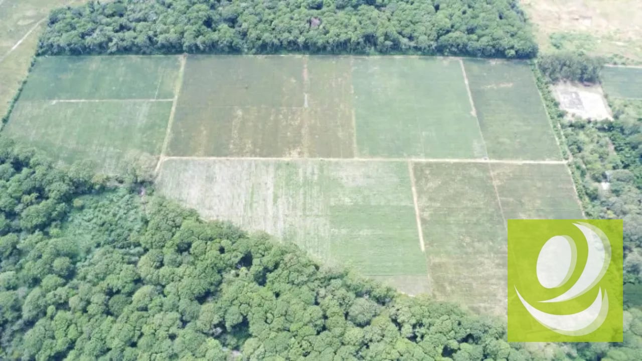 Finca de 20 Manzanas Planas en Venta en CAES Jocotillo — Terreno en Venta en Carretera a El Salvador, Guatemala, Ciudad — foto 4 de 9