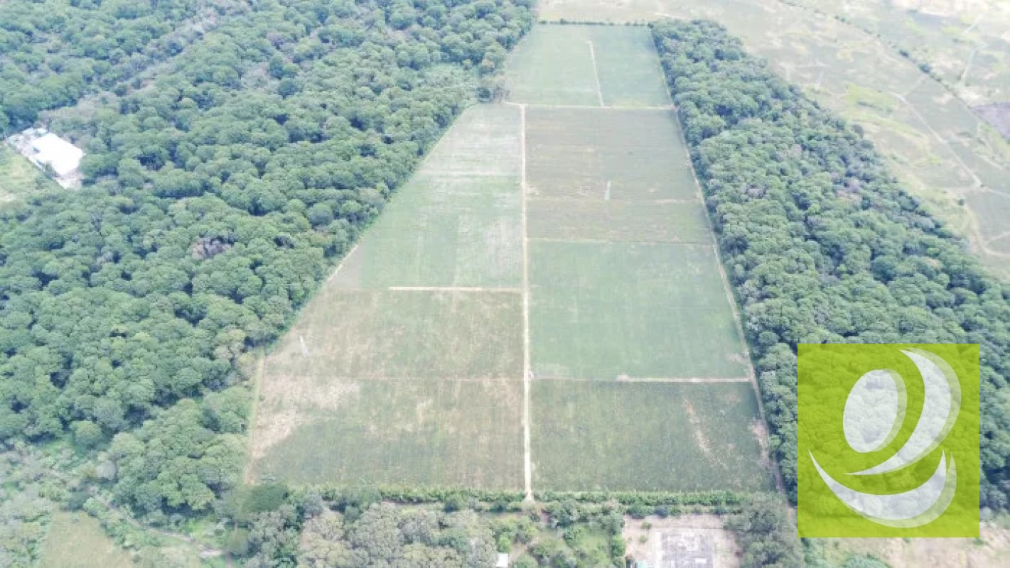 Finca de 20 Manzanas Planas en Venta en CAES Jocotillo - 2