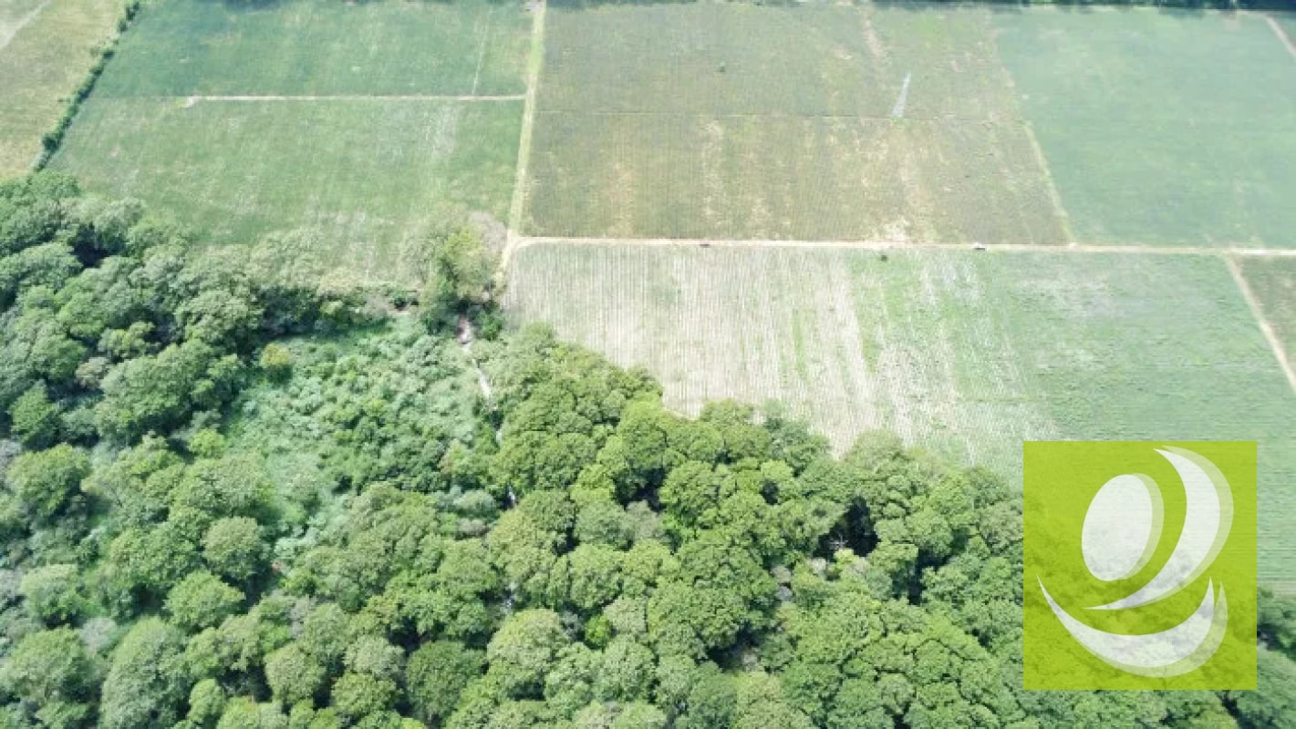 Finca de 20 Manzanas Planas en Venta en CAES Jocotillo - 1