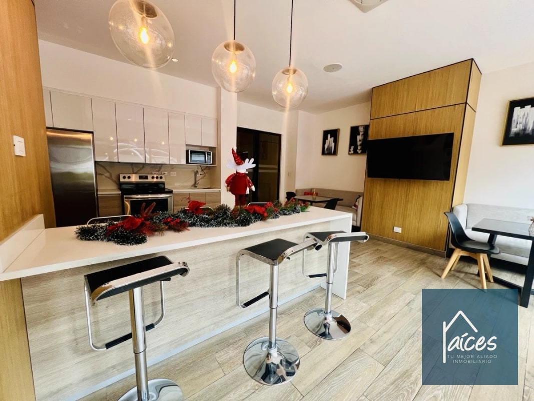 Apartamento en Renta PARQUE 10 Zona 10 (D) - 14