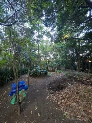 🏞️ Terreno en venta – Los Álamos, San Miguel Petapa — Terreno en Venta en EcoCentro Los Alamos, San Miguel Petapa, Guatemala, Ciudad — miniatura 5 de 7