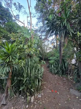🏞️ Terreno en venta – Los Álamos, San Miguel Petapa — Terreno en Venta en EcoCentro Los Alamos, San Miguel Petapa, Guatemala, Ciudad — miniatura 3 de 7