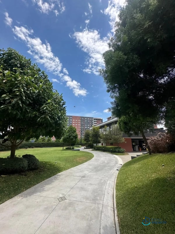 Apartamento en Renta, Zona 14-Segheria - 5