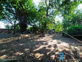 VENDO Terreno Santa Lucía Cotzumalguapa Cantón El Palmar 2 — Terreno en Venta en Santa Lucía Cotzumalguapa, Escuintla — miniatura 3 de 6