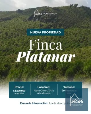 FINCA PLATANAR. Potencial hídrico, madera, cultivo cardamomo y café. — Finca en Venta en Tactic, Alta Verapaz — miniatura 1 de 7