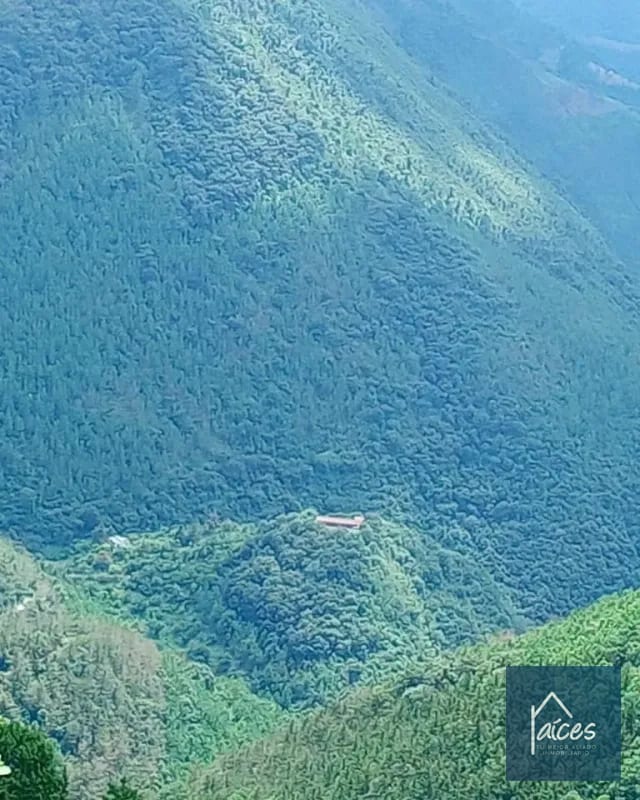 FINCA PLATANAR. Potencial hídrico, madera, cultivo cardamomo y café. — Finca en Venta en Tactic, Alta Verapaz — foto 7 de 7