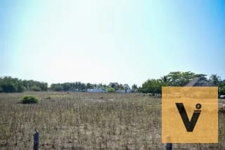 Terreno carretera a hawaii, aldea curvina — Terreno en Venta en Chiquimulilla, Santa Rosa — miniatura 5 de 11