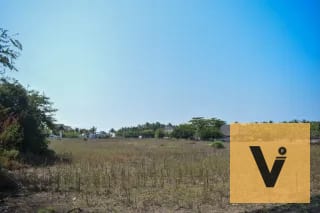 Terreno carretera a hawaii, aldea curvina — Terreno en Venta en Chiquimulilla, Santa Rosa — miniatura 4 de 11
